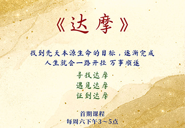 寻找达摩（初级）